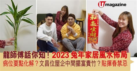 富貴竹風水2023|2023兔年文昌位 │ 一文看清6大文昌擺設、禁忌，包你。